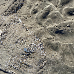 Wet sand on a beach with crushed shells in a wave pattern